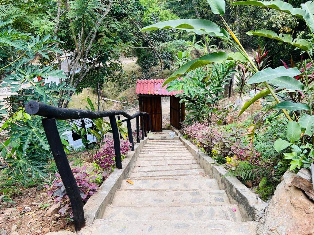Minca Cabana La Roca Santa Marta  Esterno foto