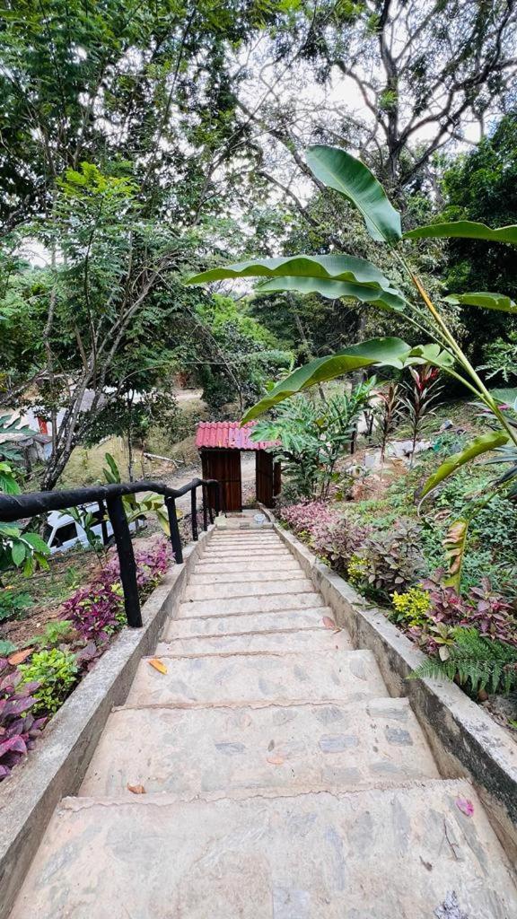 Minca Cabana La Roca Santa Marta  Esterno foto