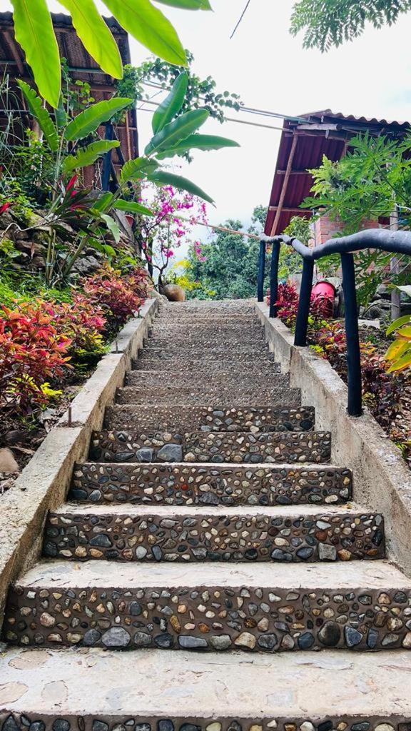 Minca Cabana La Roca Santa Marta  Esterno foto